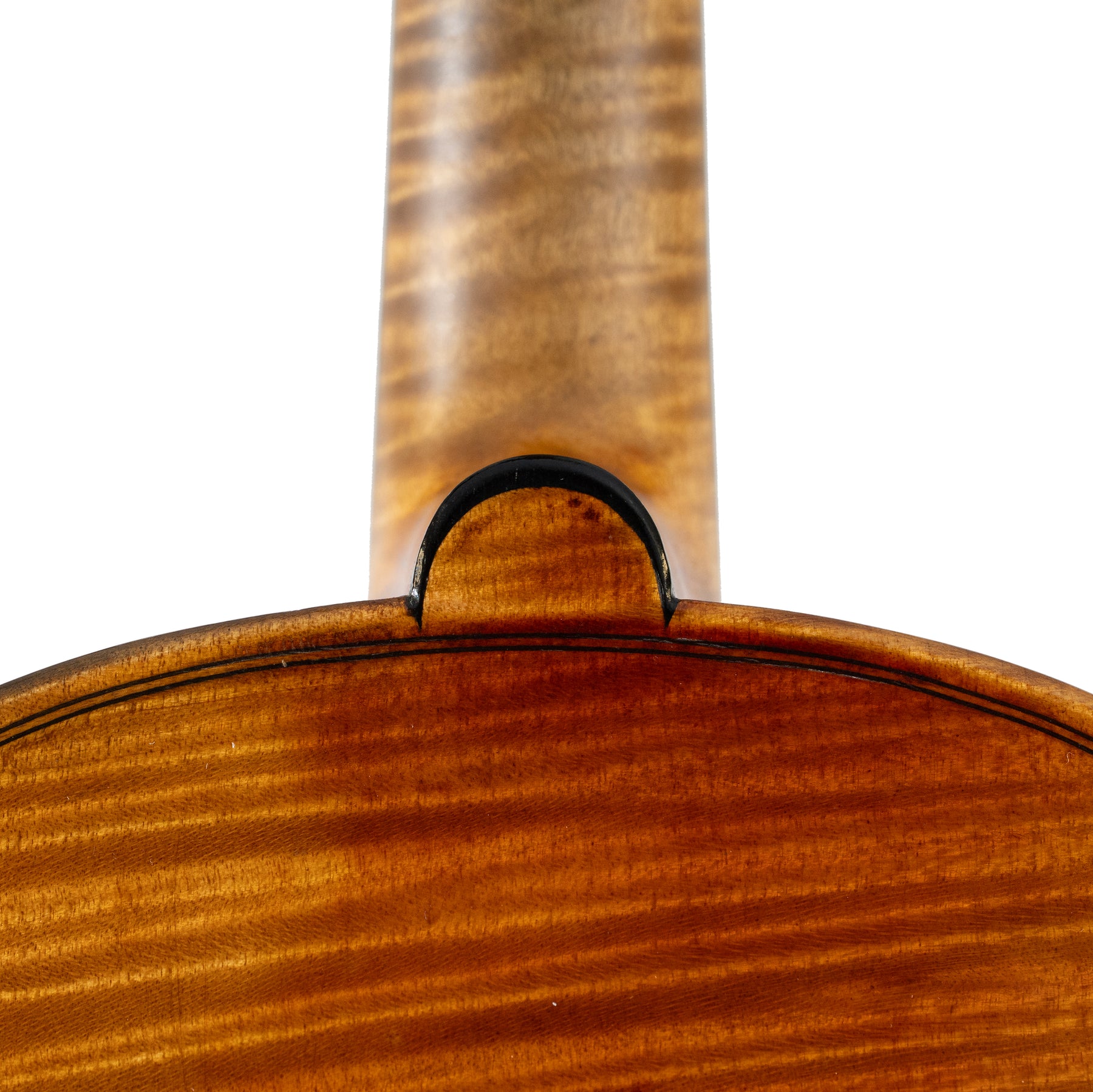 E.H. Roth Violin Labeled Eugen Meinel, XR, Markneukirchen, c.1925