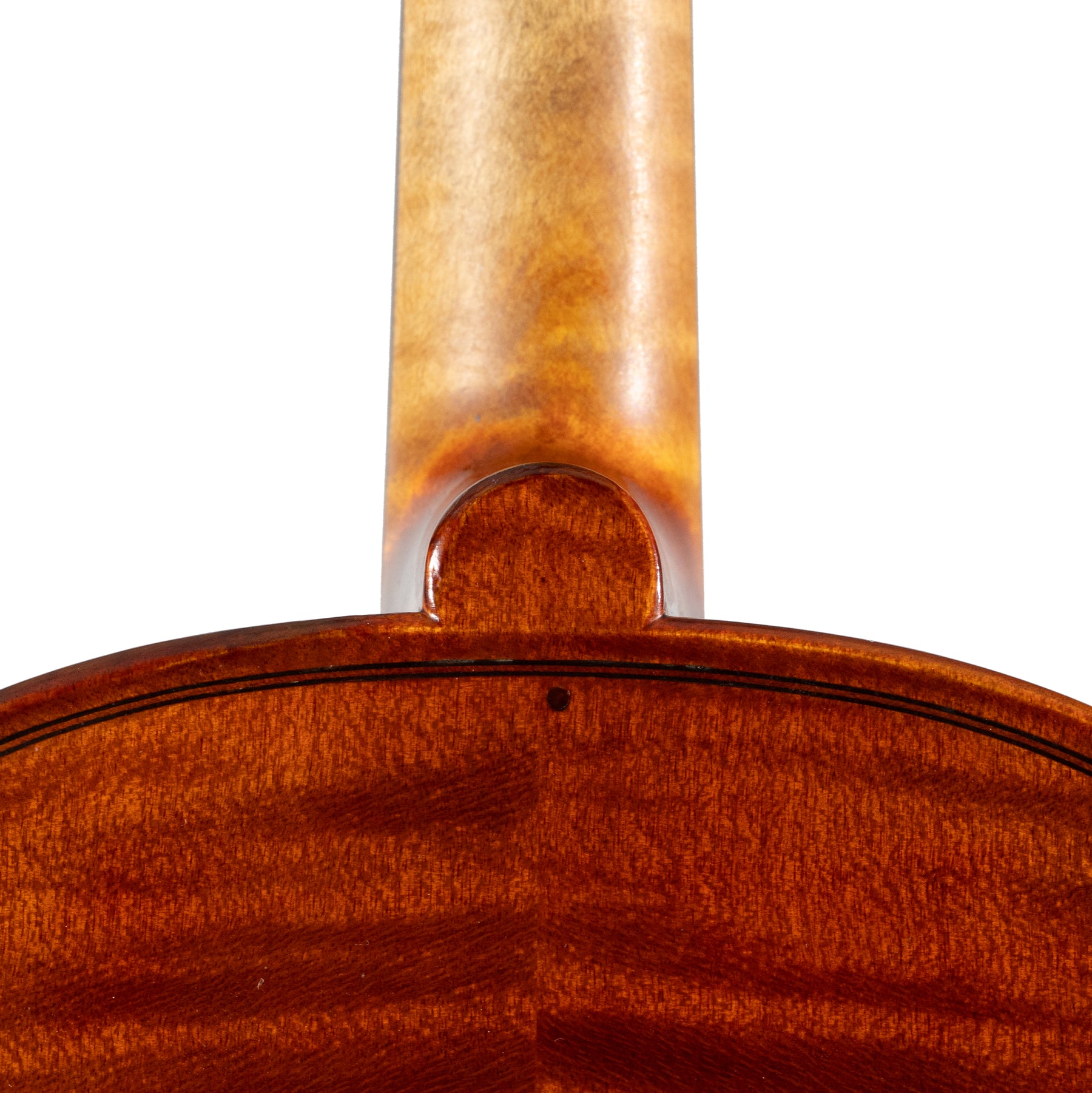 David Burgess Viola, Ann Arbor, 1978, 16.5"