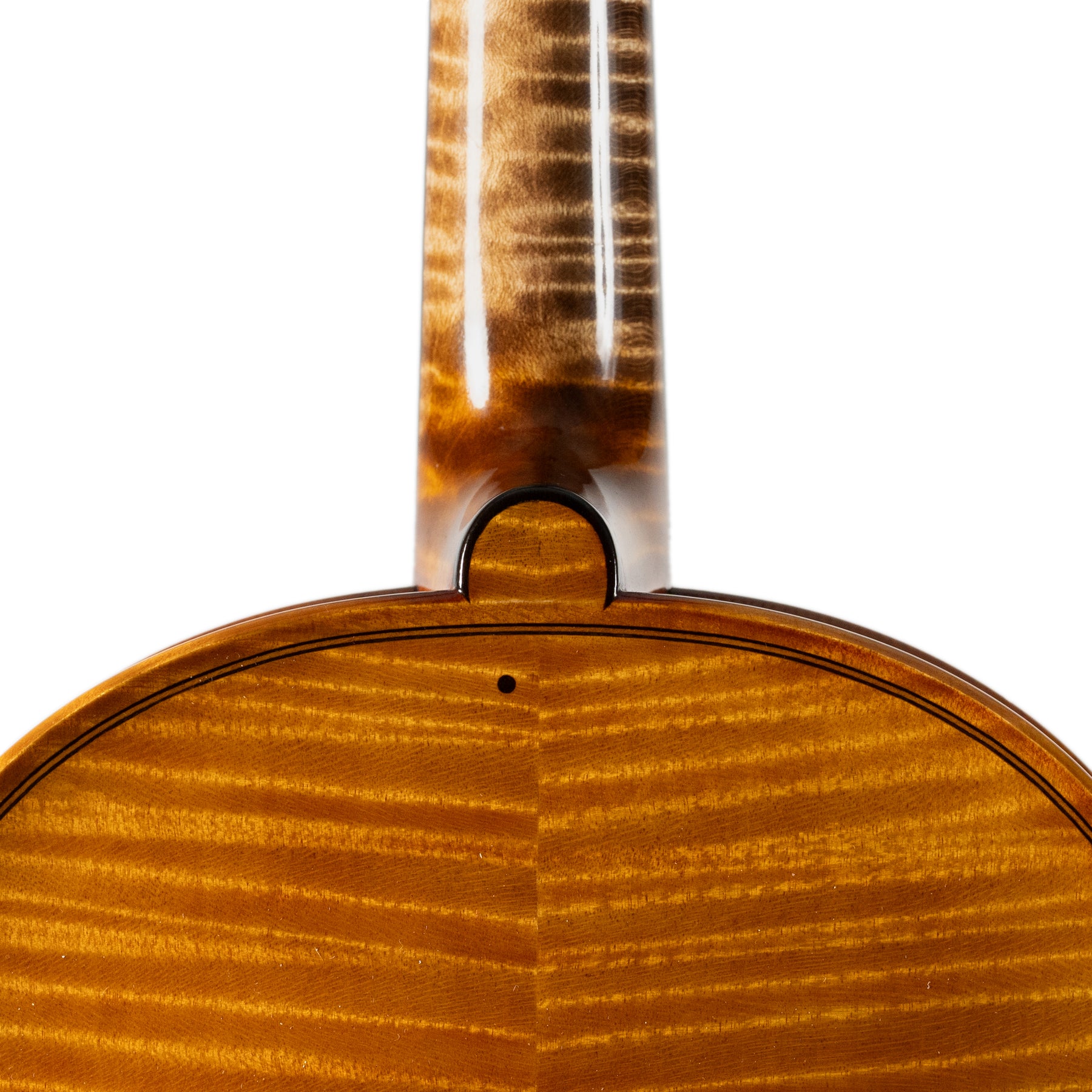 Ali Hosseini Violin, Hamedan, 2025
