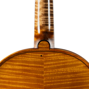 Ali Hosseini Violin, Hamedan, 2025