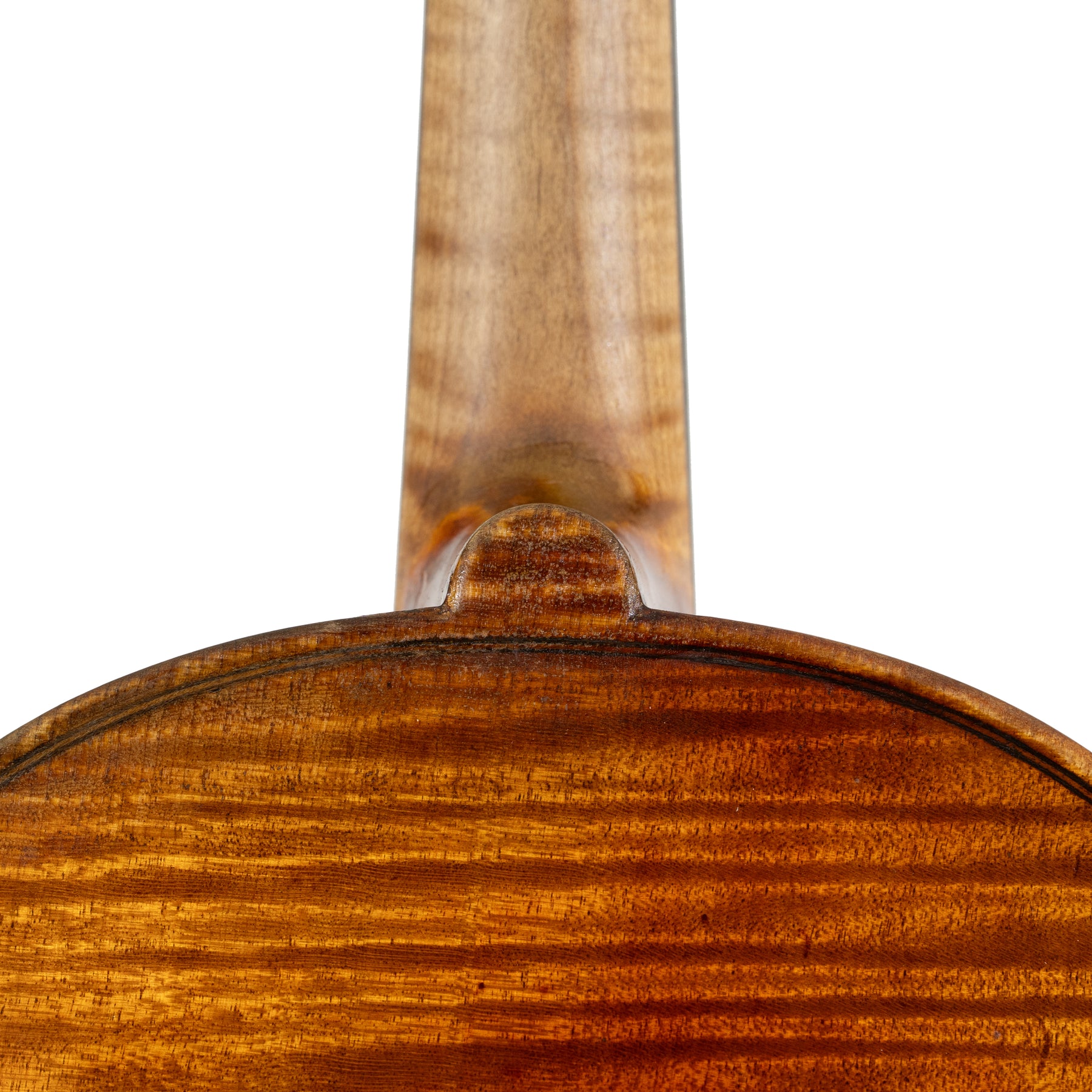 E.H. Roth "Guarneri" Violin, Markneukirchen, 1928