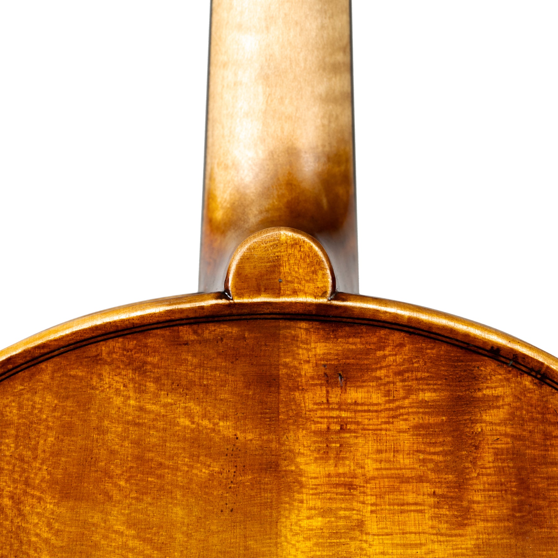 Martin Cruz Aragon Viola, Queretaro, 2025, 15 1/2"