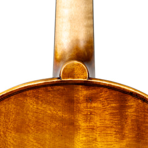 Martin Cruz Aragon Viola, Queretaro, 2025, 15 1/2"