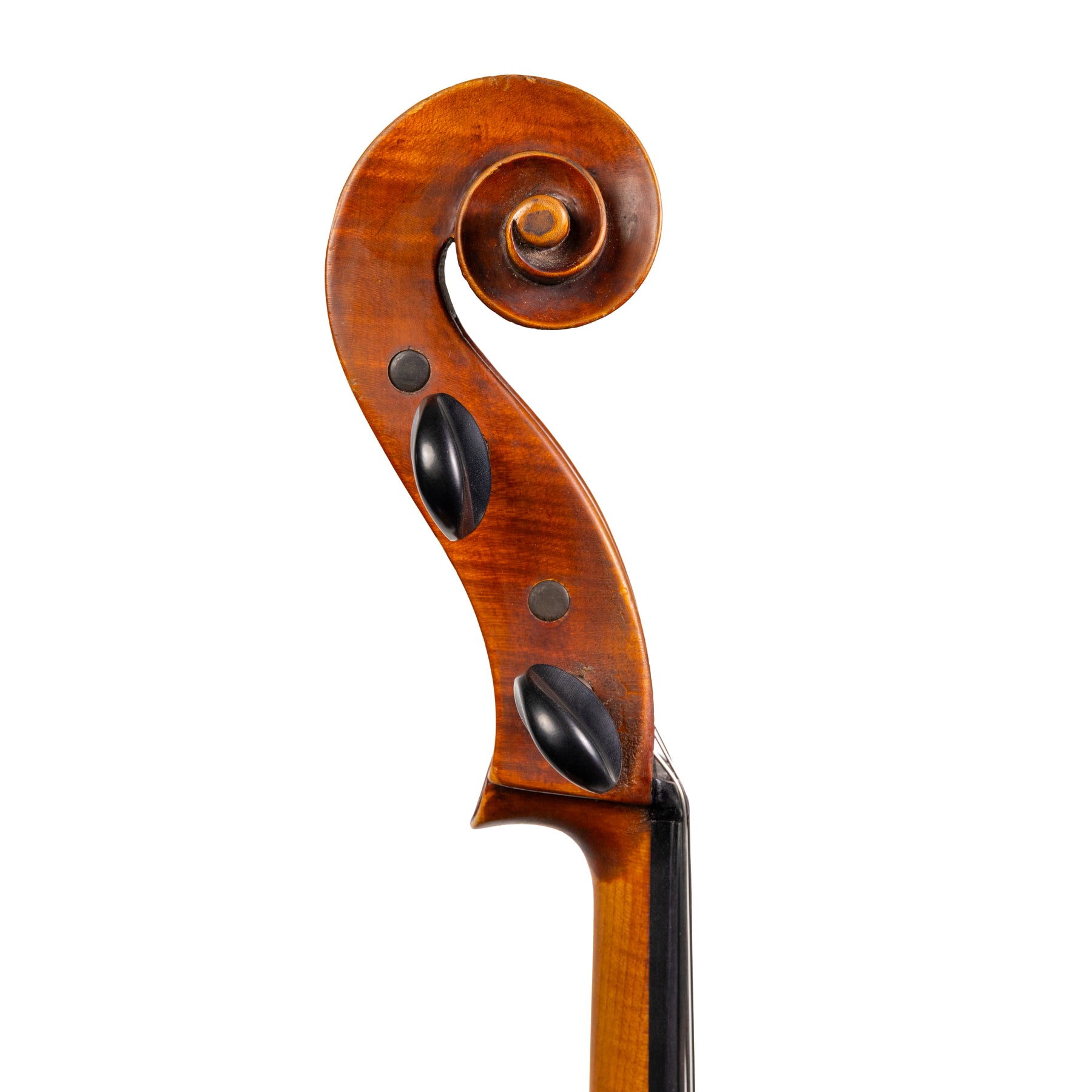 Natale Carletti Cello, Pieve di Cento, 1960 w/ Certificate