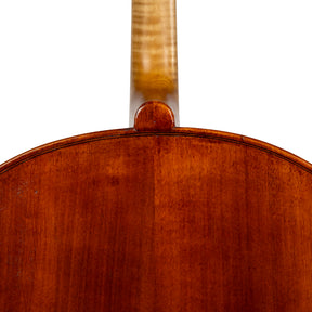 Marilyn Wallin Cello, Boston, 2009