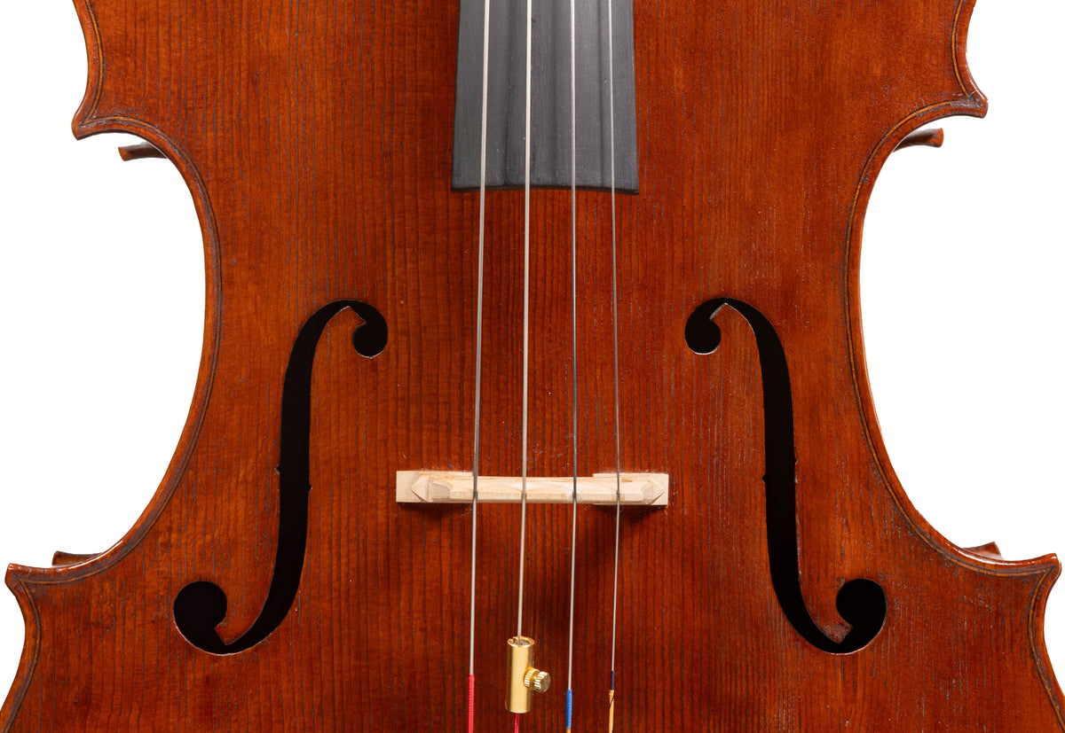 Marilyn Wallin Cello, Boston, 2009