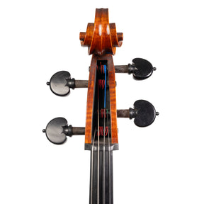 Marilyn Wallin Cello, Boston, 2009