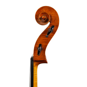 Marilyn Wallin Cello, Boston, 2009