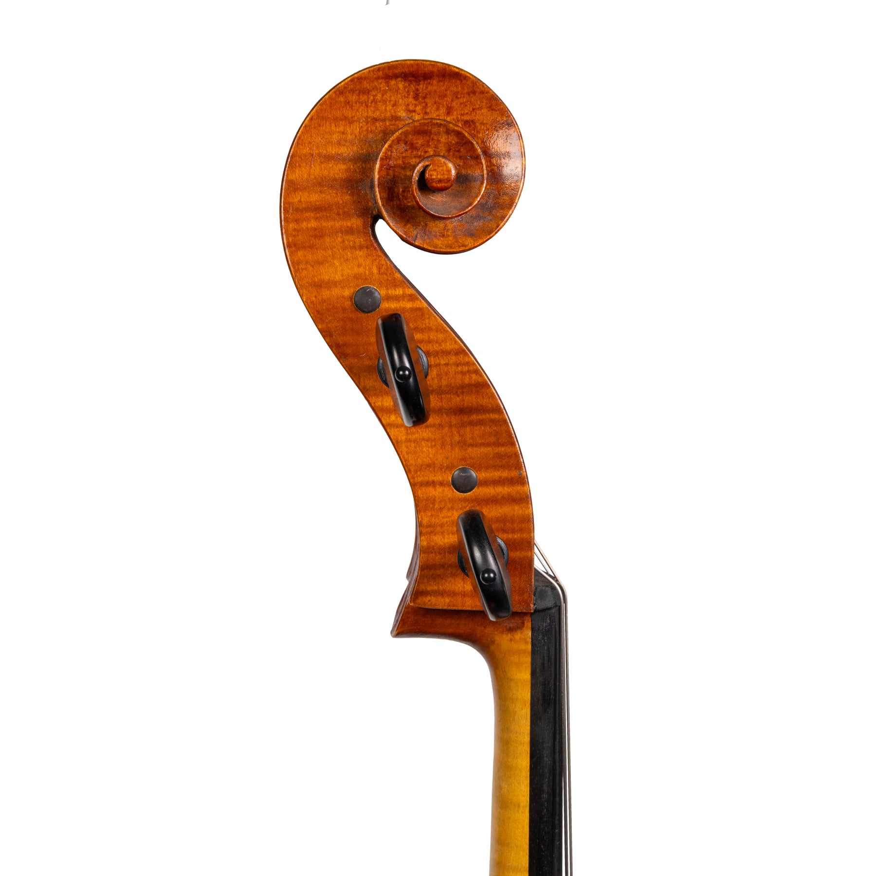 Marilyn Wallin Cello, Boston, 2009