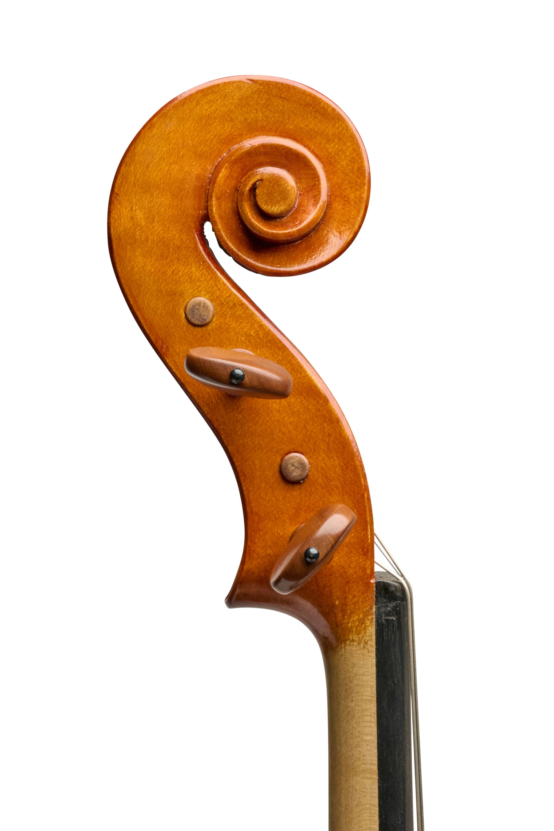 The "ex-Dalley" Clifford Roberts Viola, New York, 1981, 16 3/4"