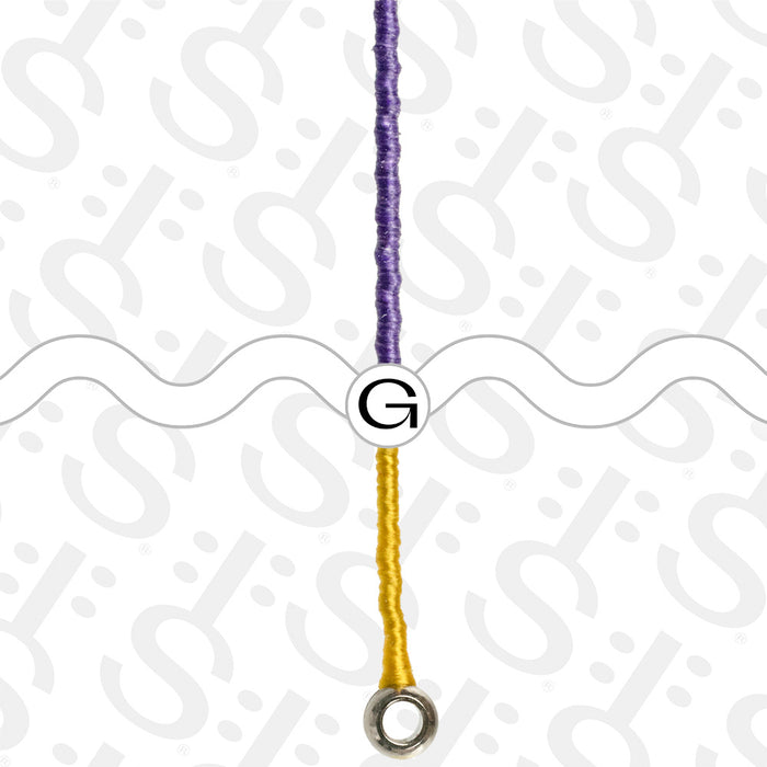 Violin Strings & Accessories Dominant G & More