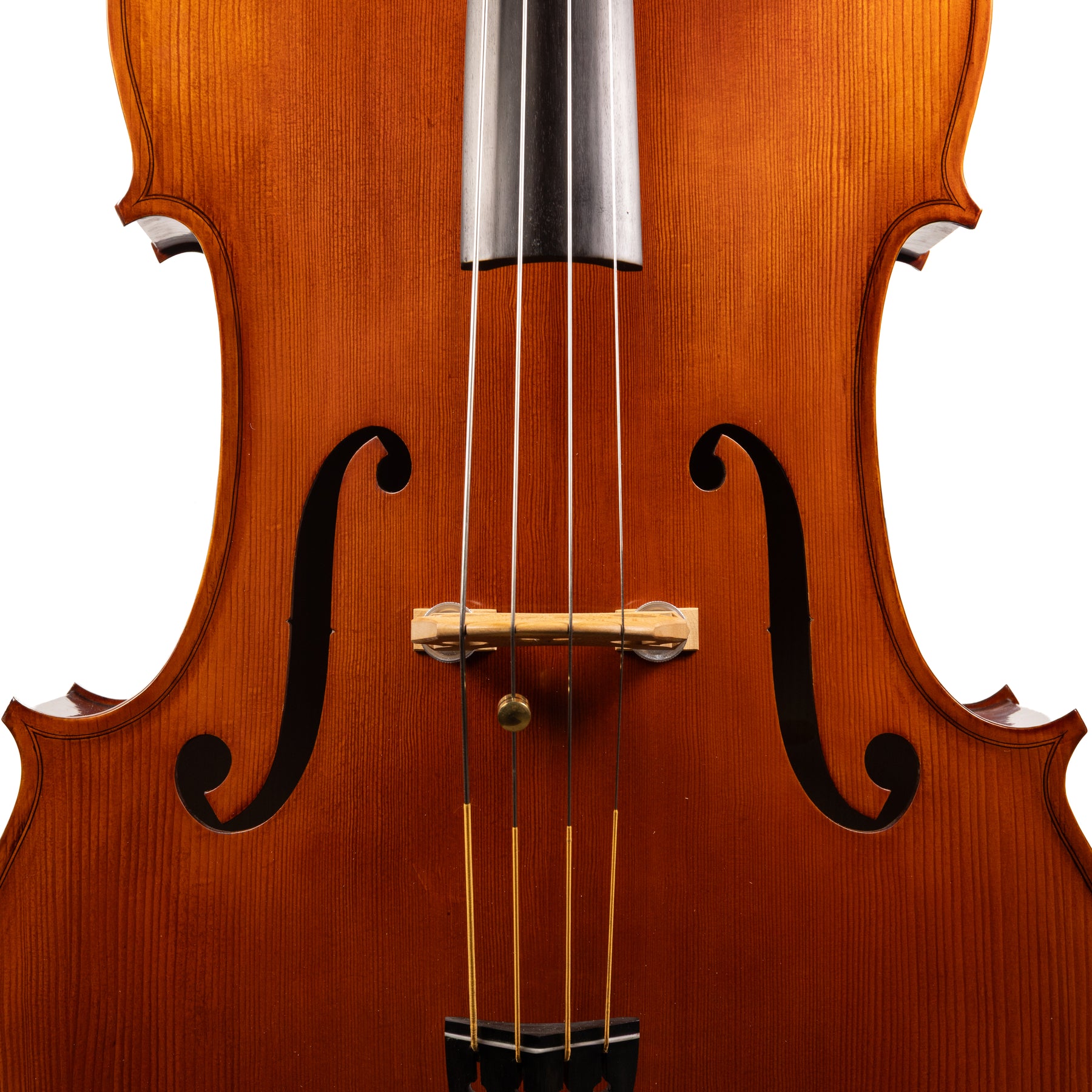 Otto Ernst Fischer® Bianca Bass