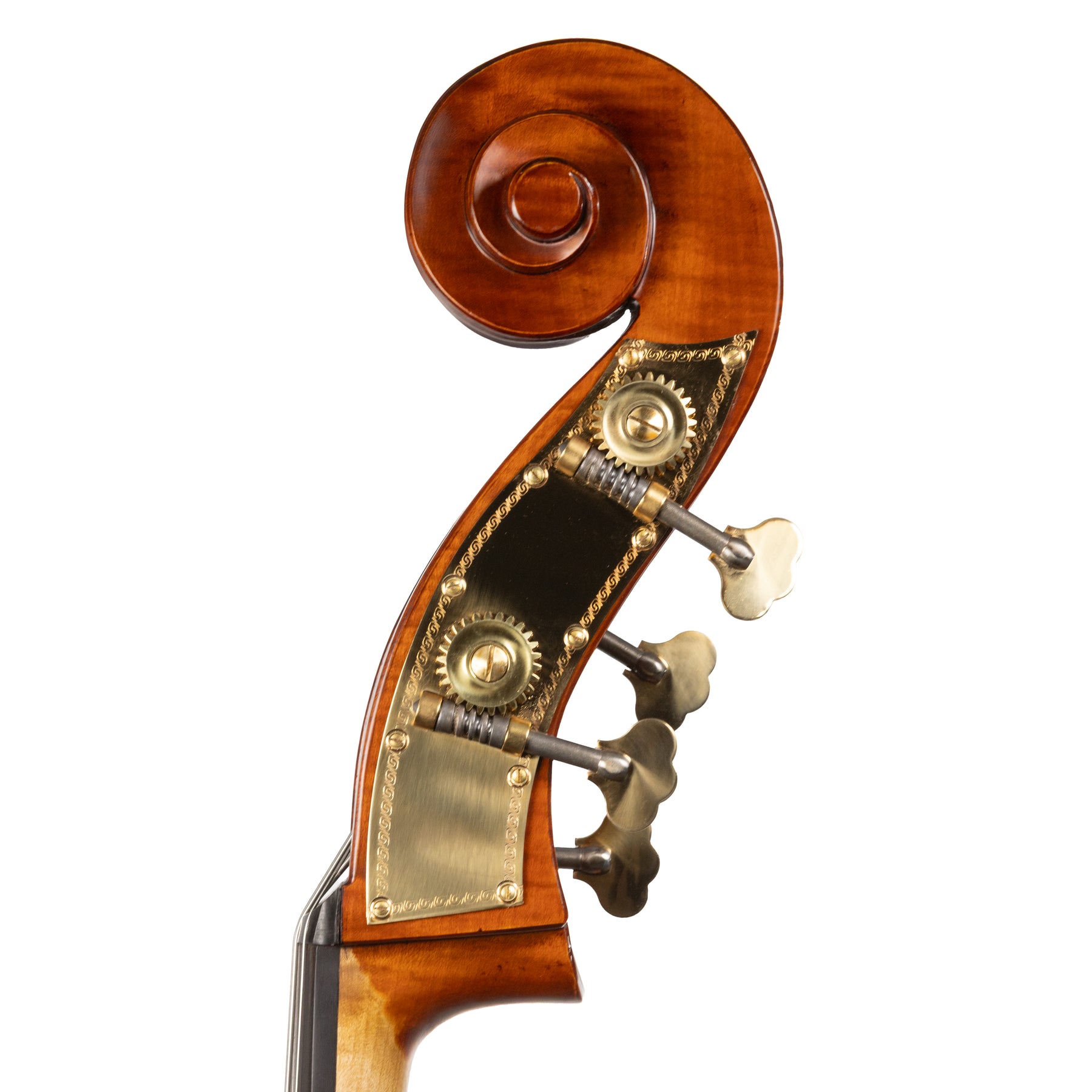 Otto Ernst Fischer® Bianca Bass