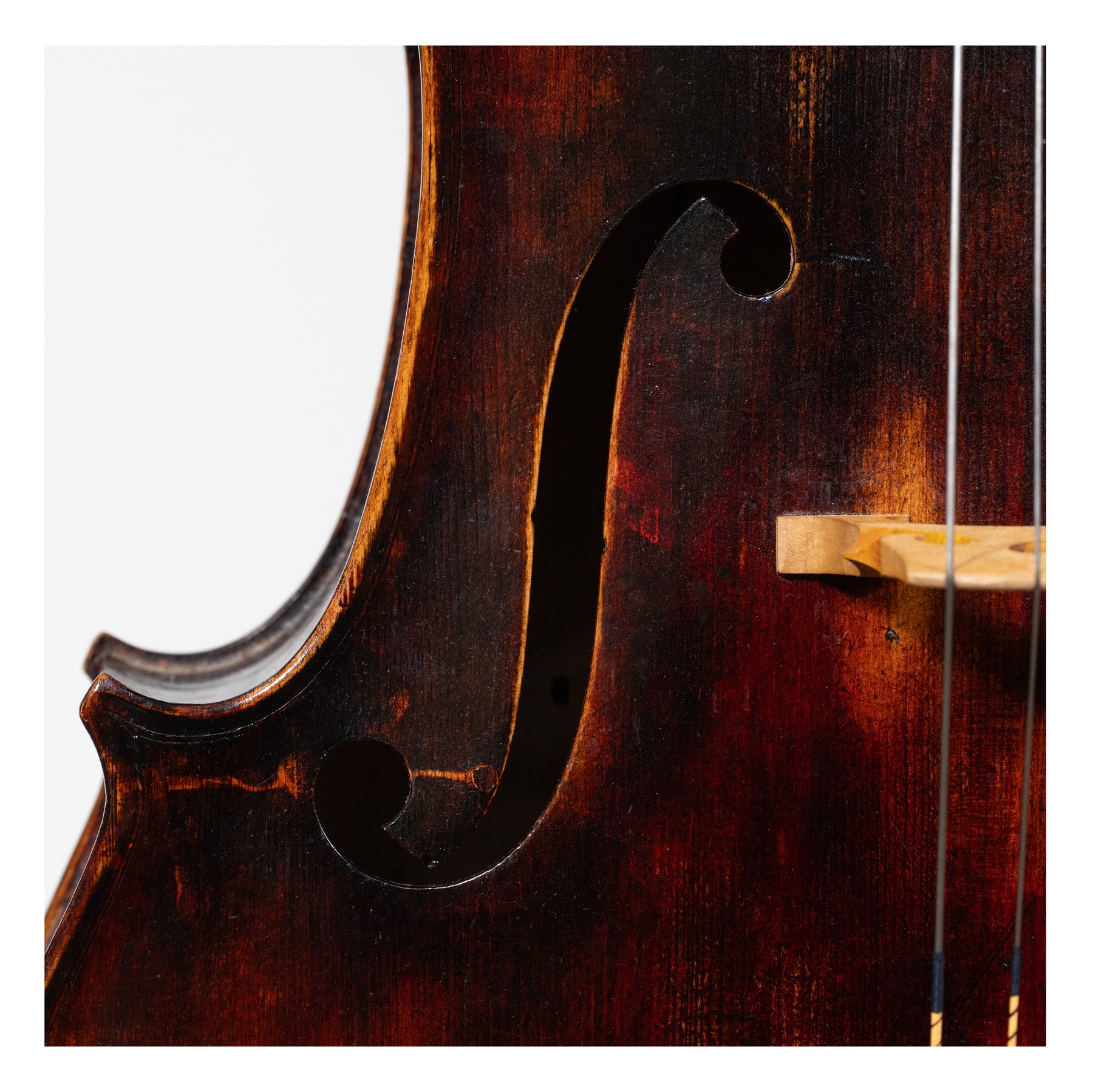 Unknown Maker - Cello