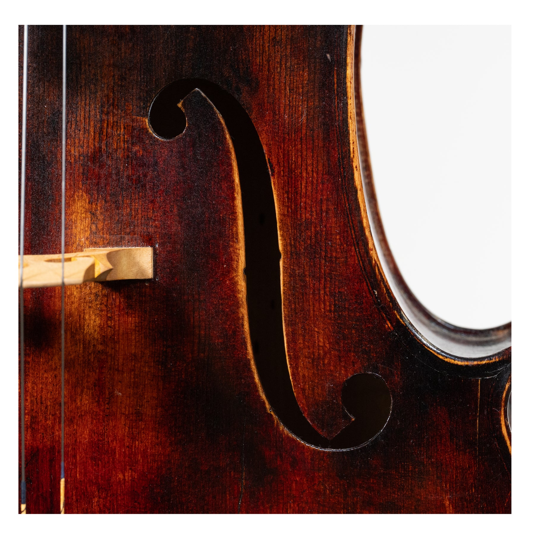 Unknown Maker - Cello