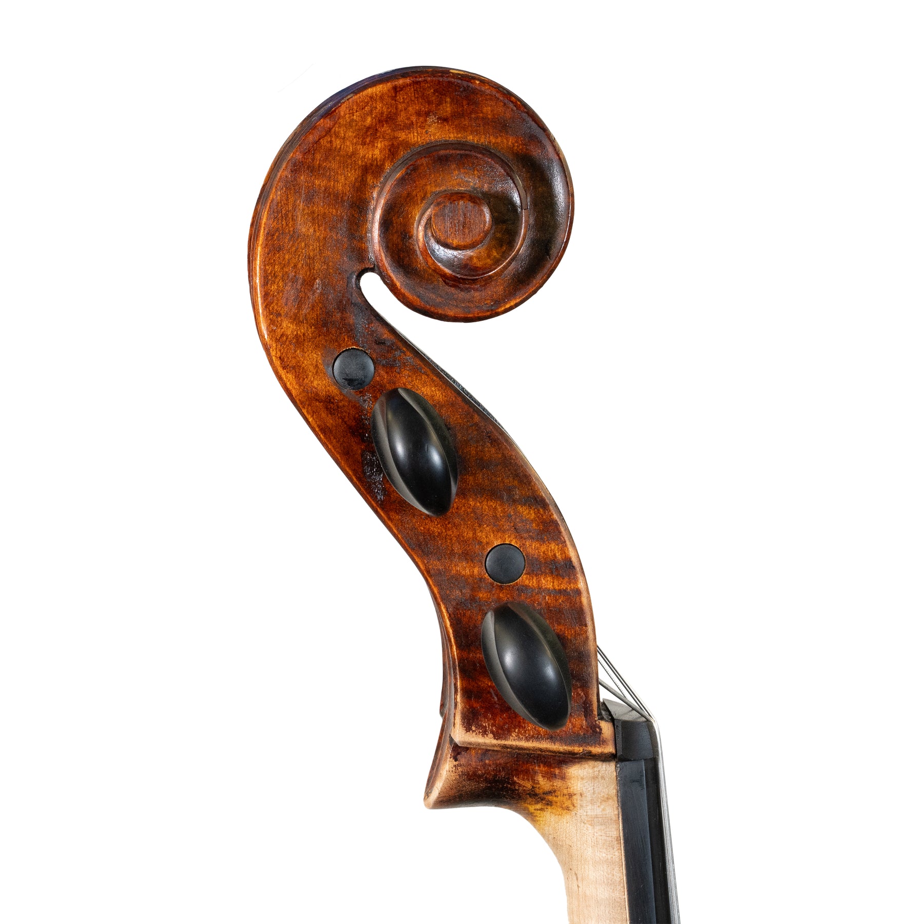 Unknown Maker - Cello