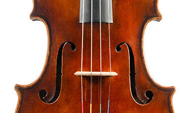 Catalin Quercinola Viola, Eudora, 2020, 15 3/4