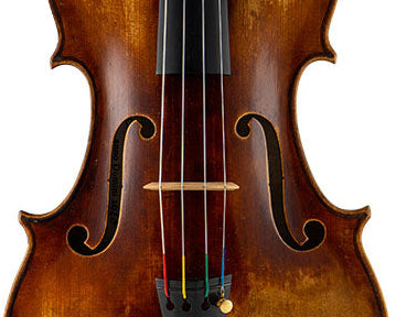 Catalin Quercinola Viola, Eudora, 2018, 15 7/8