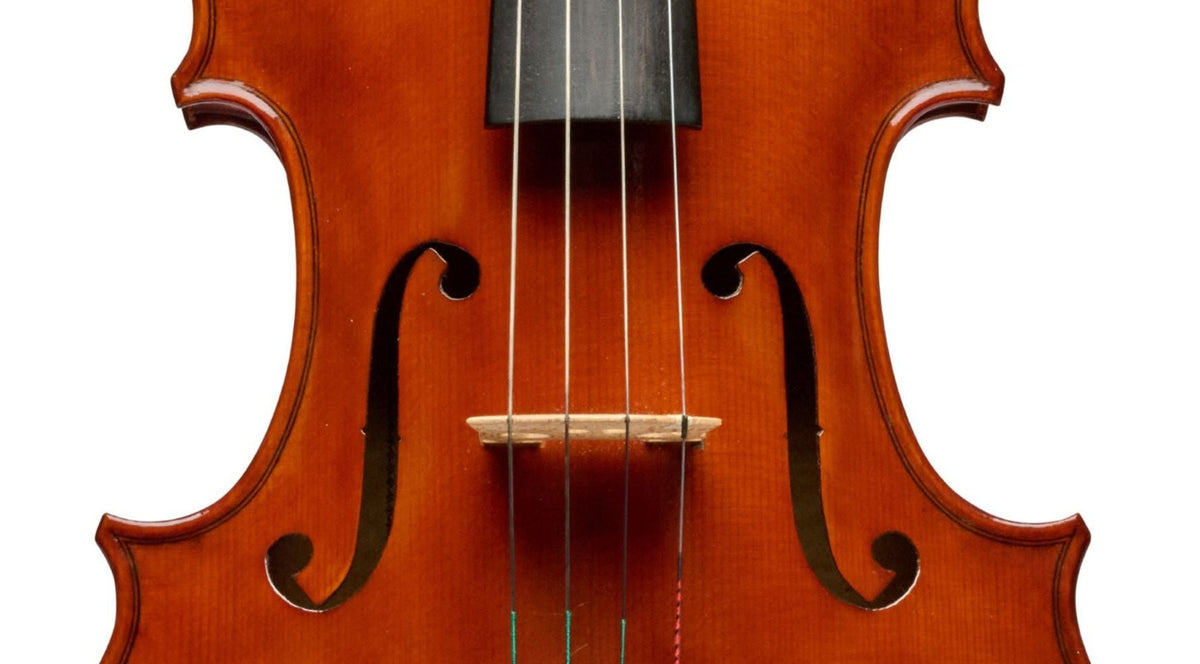 Erwin Hertel Viola, New York, 1972, 16