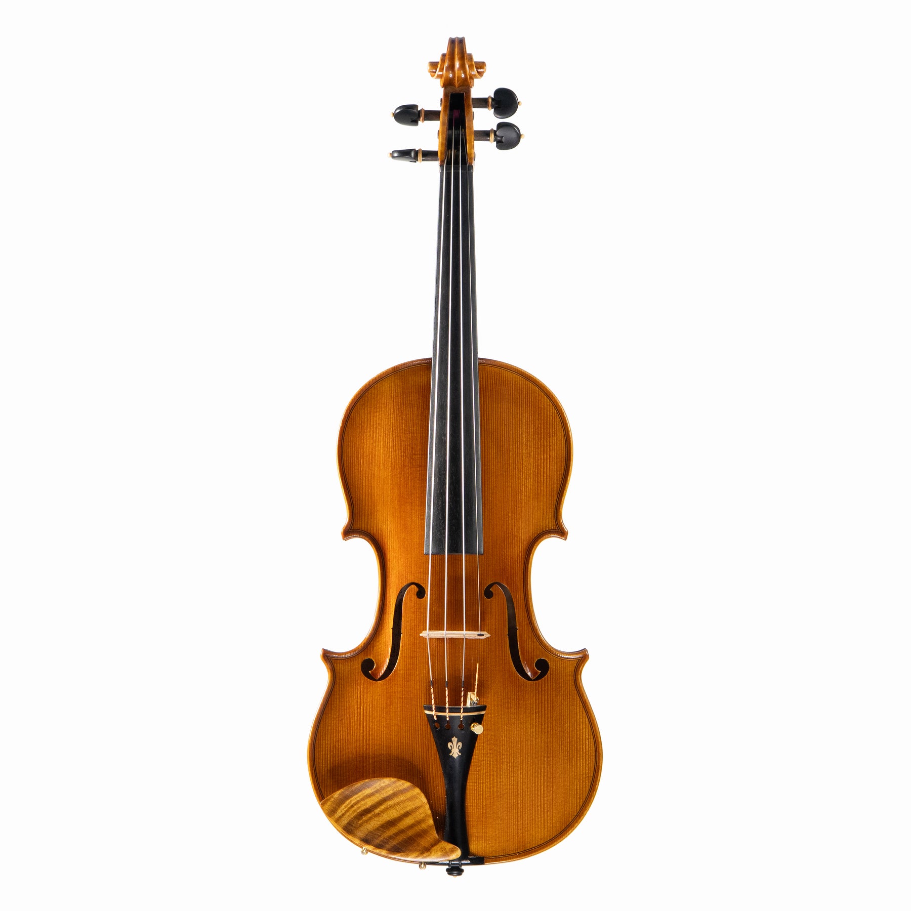 Ali Hosseini Violin, Hamedan, 2025