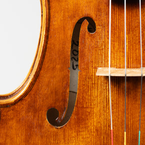 Martin Cruz Aragon Viola, Queretaro, 2025, 15 1/2"