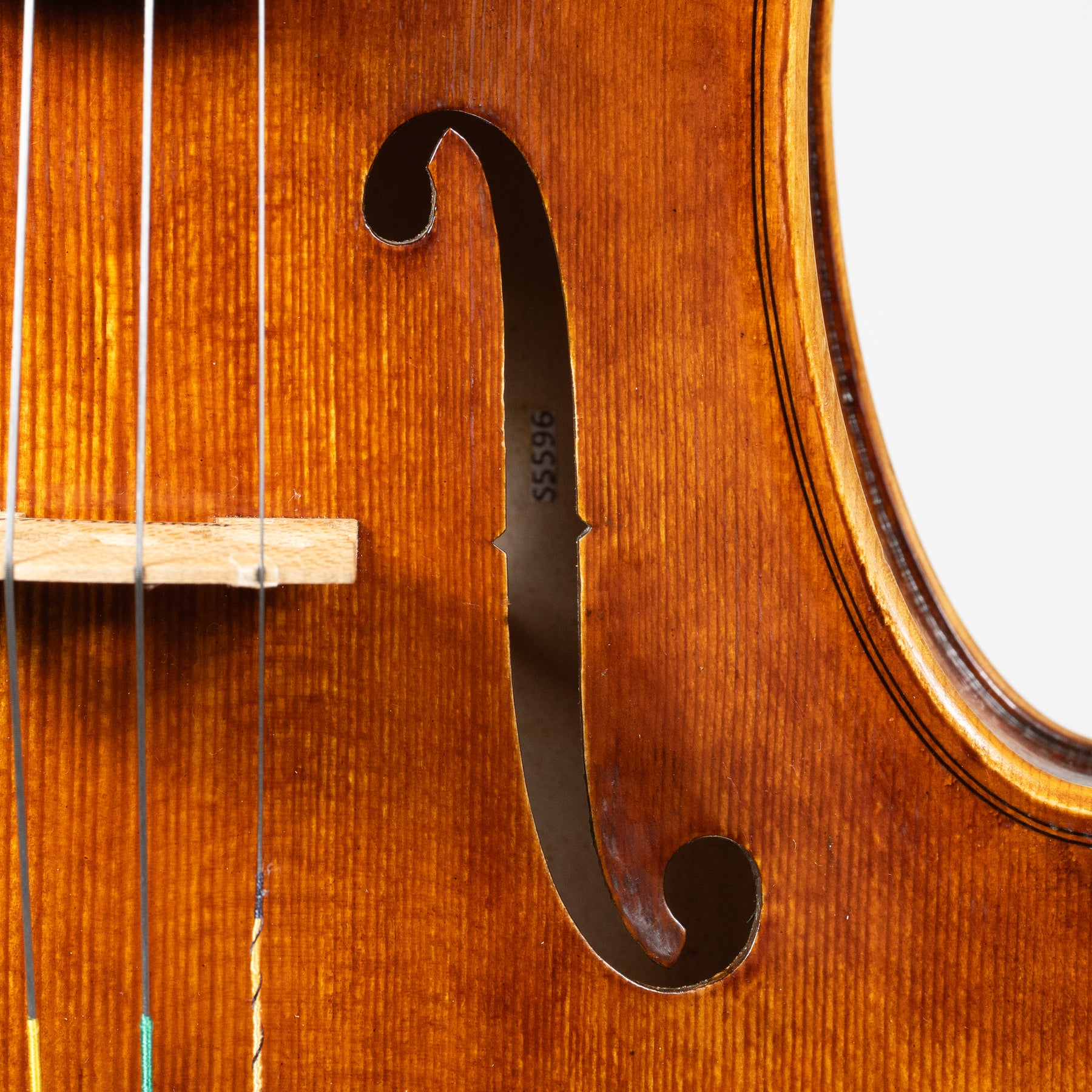 Martin Cruz Aragon Viola, Queretaro, 2025, 15 1/2"