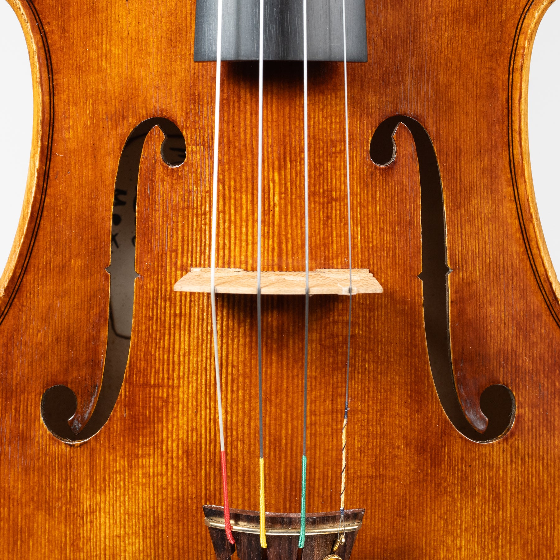 Martin Cruz Aragon Viola, Queretaro, 2025, 15 1/2"