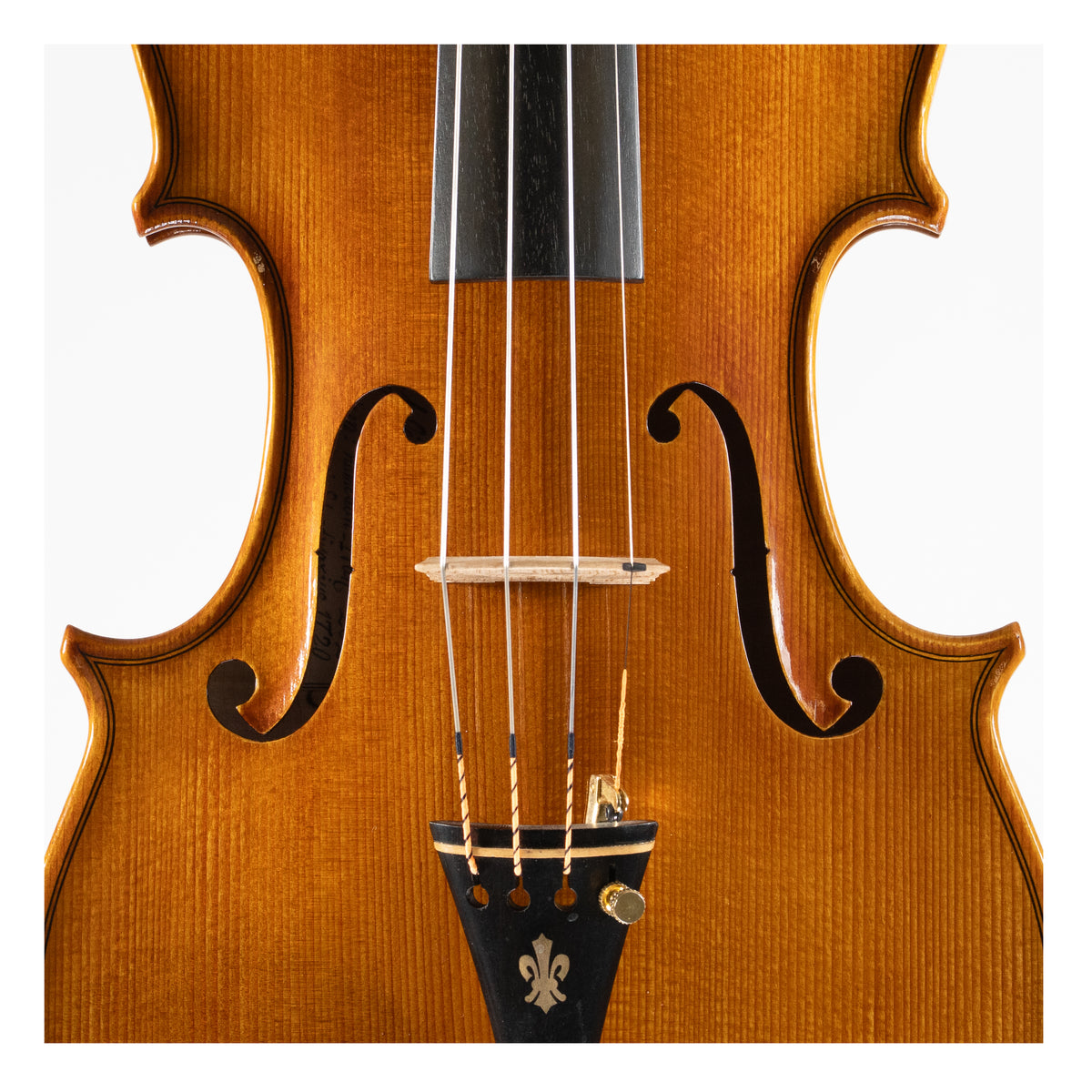 Ali Hosseini Violin, Hamedan, 2025