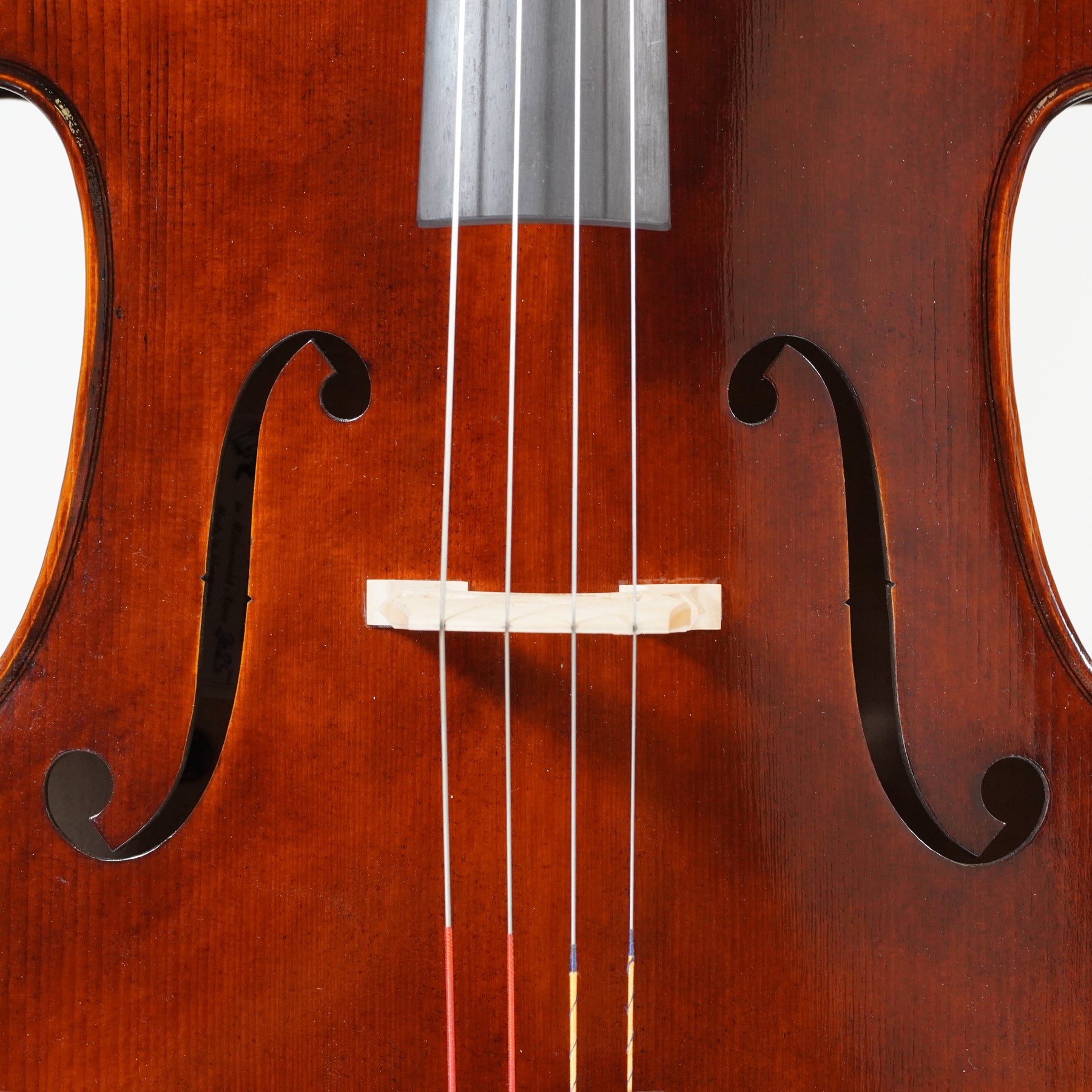 Rainer W. Leonhardt "The Dark Lion" Cello, Mittenwald, 2025