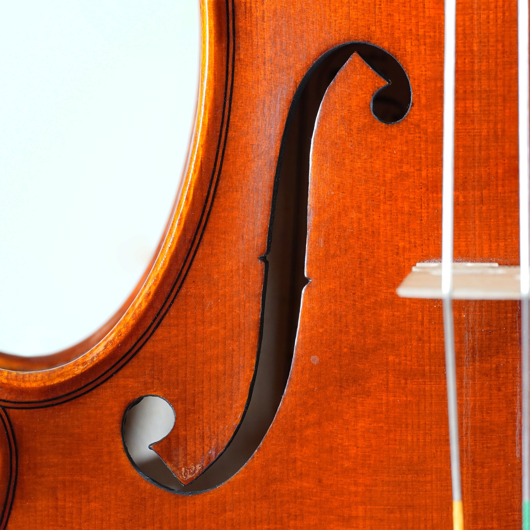 Ivan Bizov Violin, Cremona, 2023