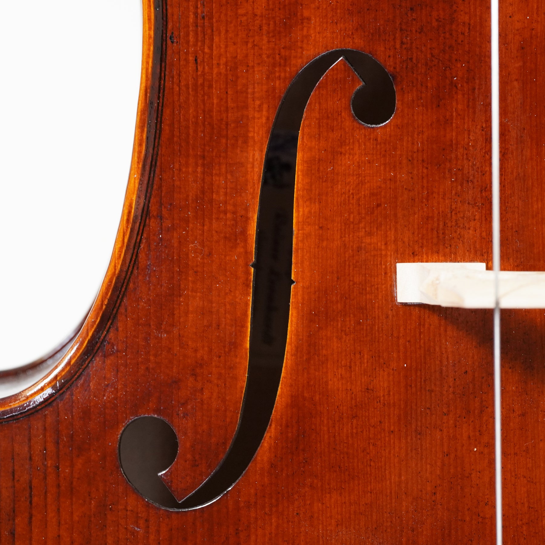 Rainer W. Leonhardt "The Dark Lion" Cello, Mittenwald, 2025