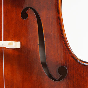 Rainer W. Leonhardt "The Dark Lion" Cello, Mittenwald, 2025