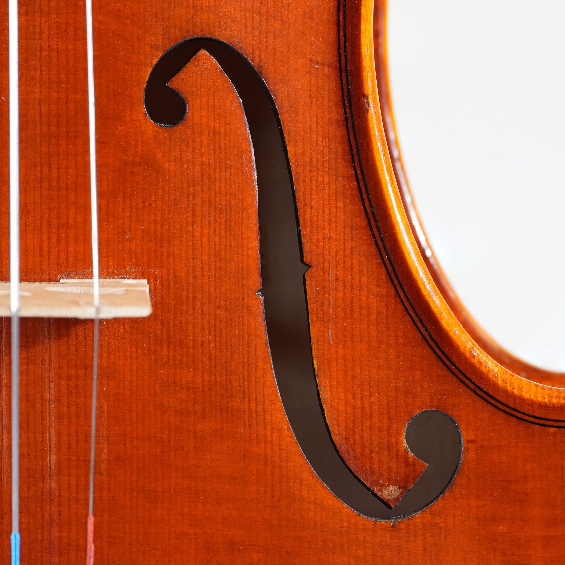 Ivan Bizov Violin, Cremona, 2023