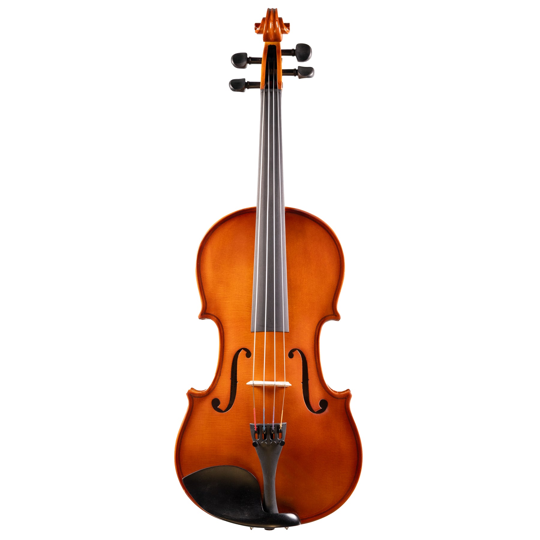 Front view of a Franz Hoffmann Amadeus beginner viola with spruce top, maple back, ebony fingerboard, pegs, and chinrest 