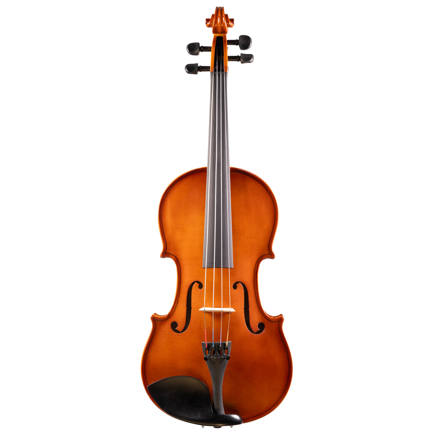Front view of a Franz Hoffmann Amadeus beginner viola with spruce top, maple back, ebony fingerboard, pegs, and chinrest 