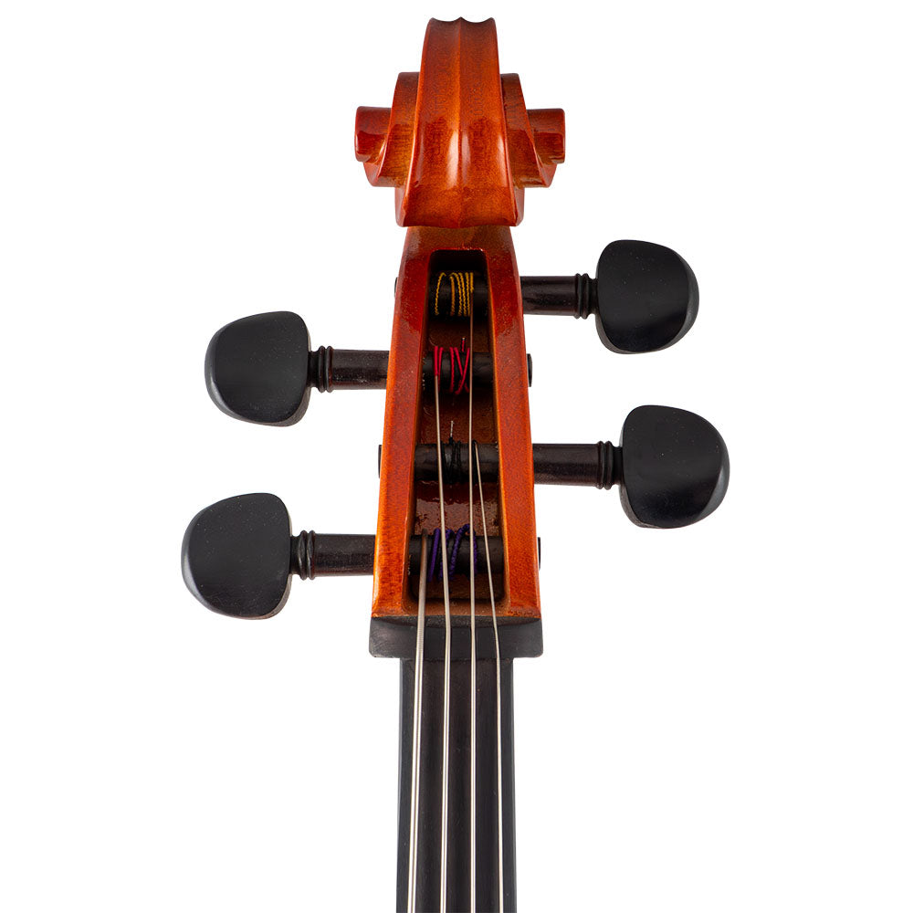 Close-up view of a Franz Hoffmann Amadeus Carved beginner cello pegbox with spruce top, maple back, ebony fingerboard, pegs, and metal endpin