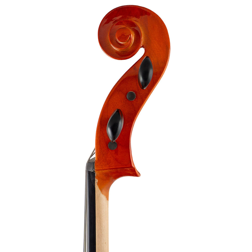 Close-up view of a Franz Hoffmann Amadeus Carved beginner cello treble-side pegs with spruce top, maple back, ebony fingerboard, pegs, and metal endpin