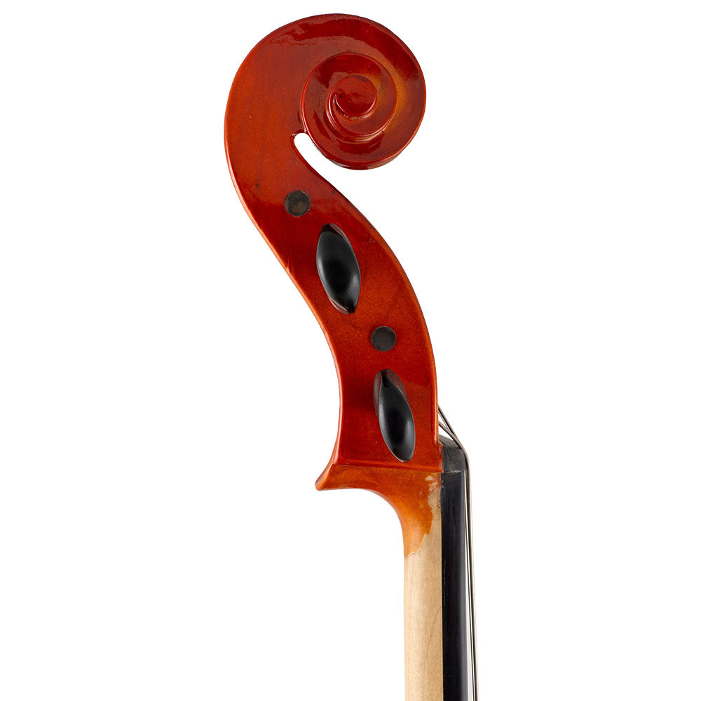 Close-up view of a Franz Hoffmann Amadeus Carved beginner cello bass-side pegs with spruce top, maple back, ebony fingerboard, pegs, and metal endpin