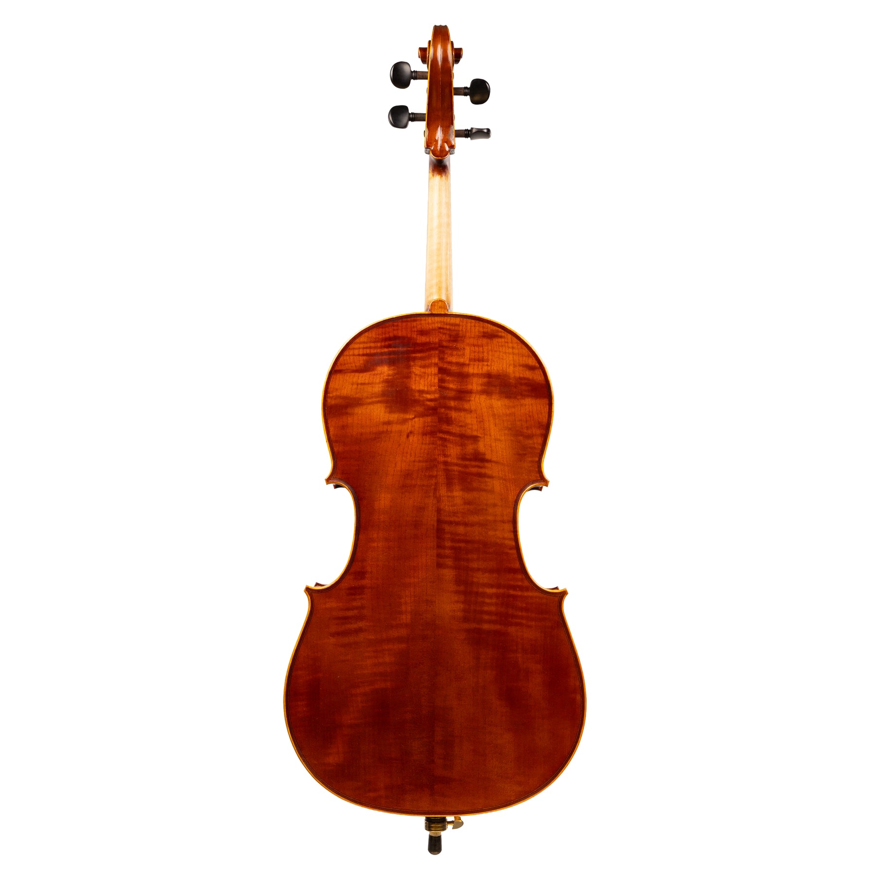 Back view of a Franz Hoffmann Prelude Carved beginner cello with spruce top, maple back, ebony fingerboard, ebony pegs, and metal endpin 