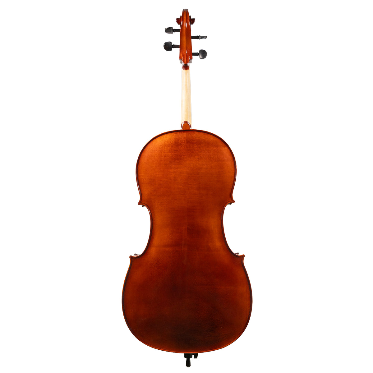 Back view of a Franz Hoffmann Danube beginner cello with spruce top, maple back, ebony fingerboard, pegs, and chinrest 