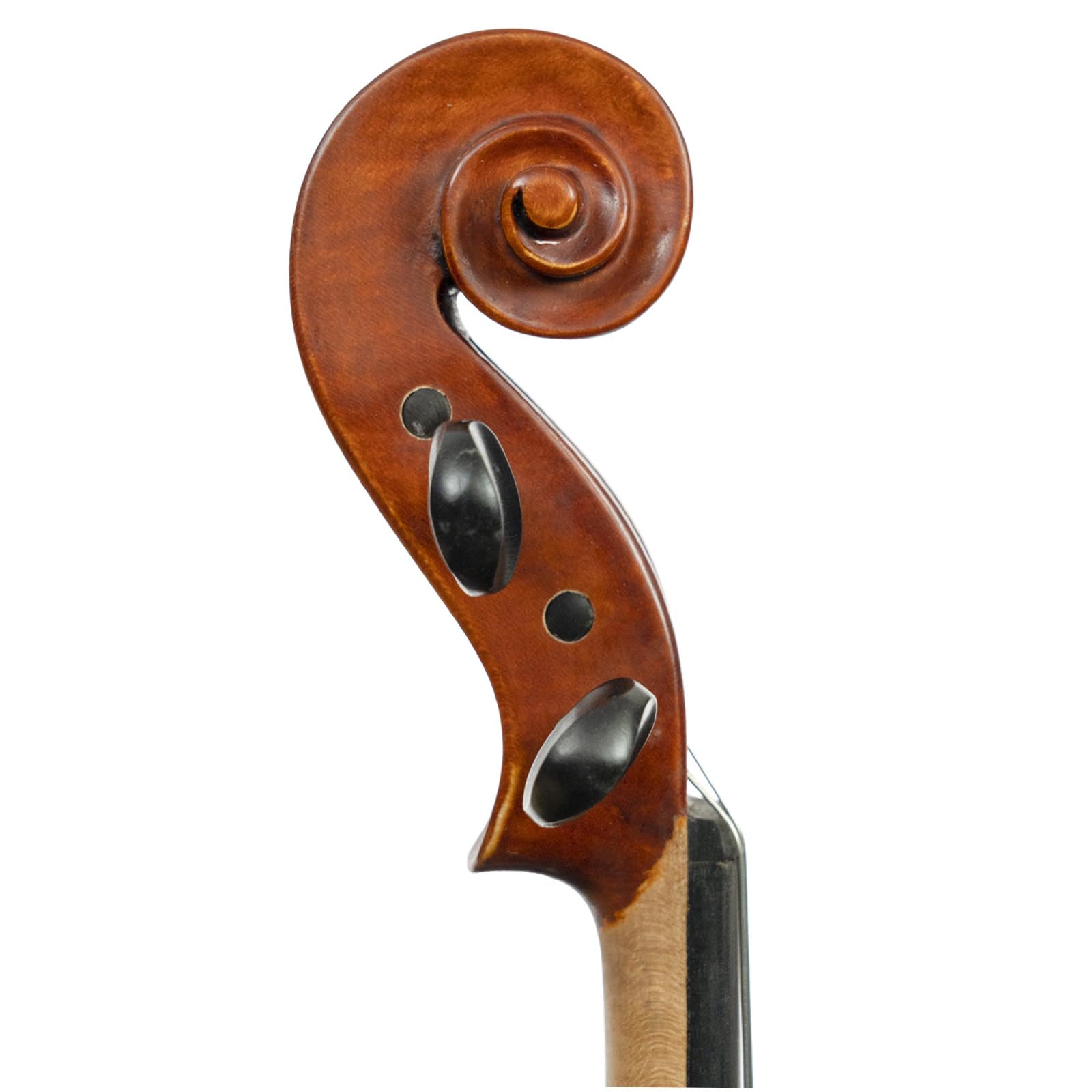 Franz Hoffmann Vienna Violin Starter Kit
