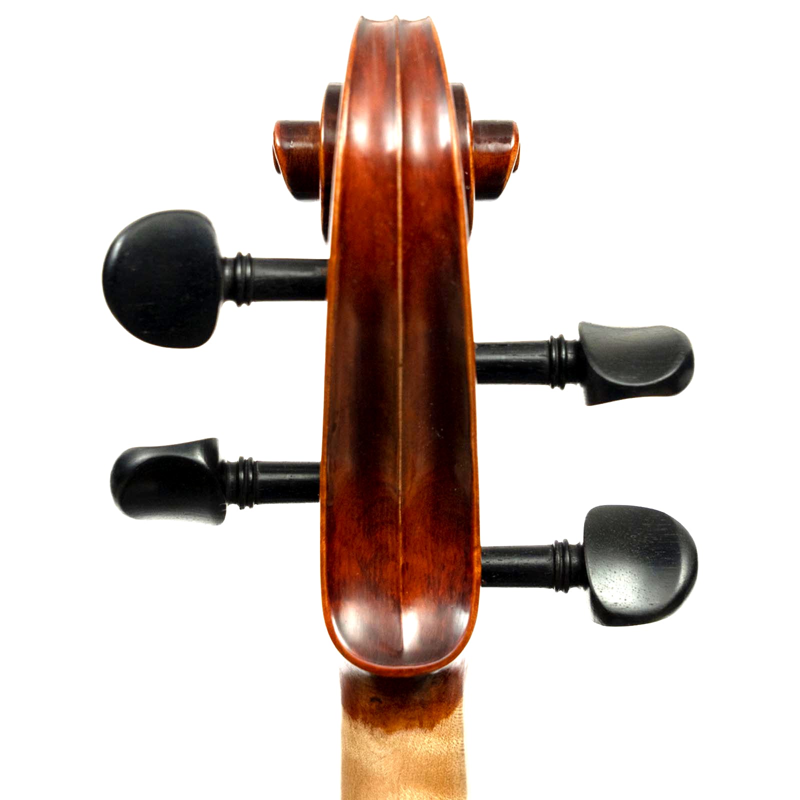 Franz Hoffmann™ Prelude Violin