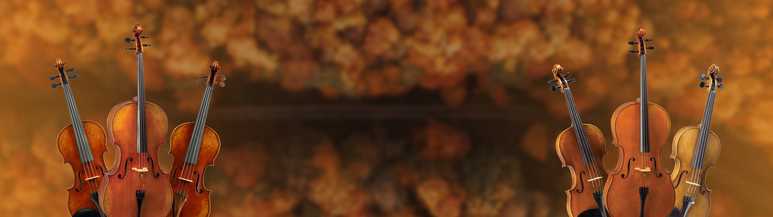 slider banner