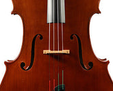 Lillo Salerno Workshop Cello