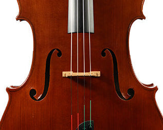Lillo Salerno Workshop Cello
