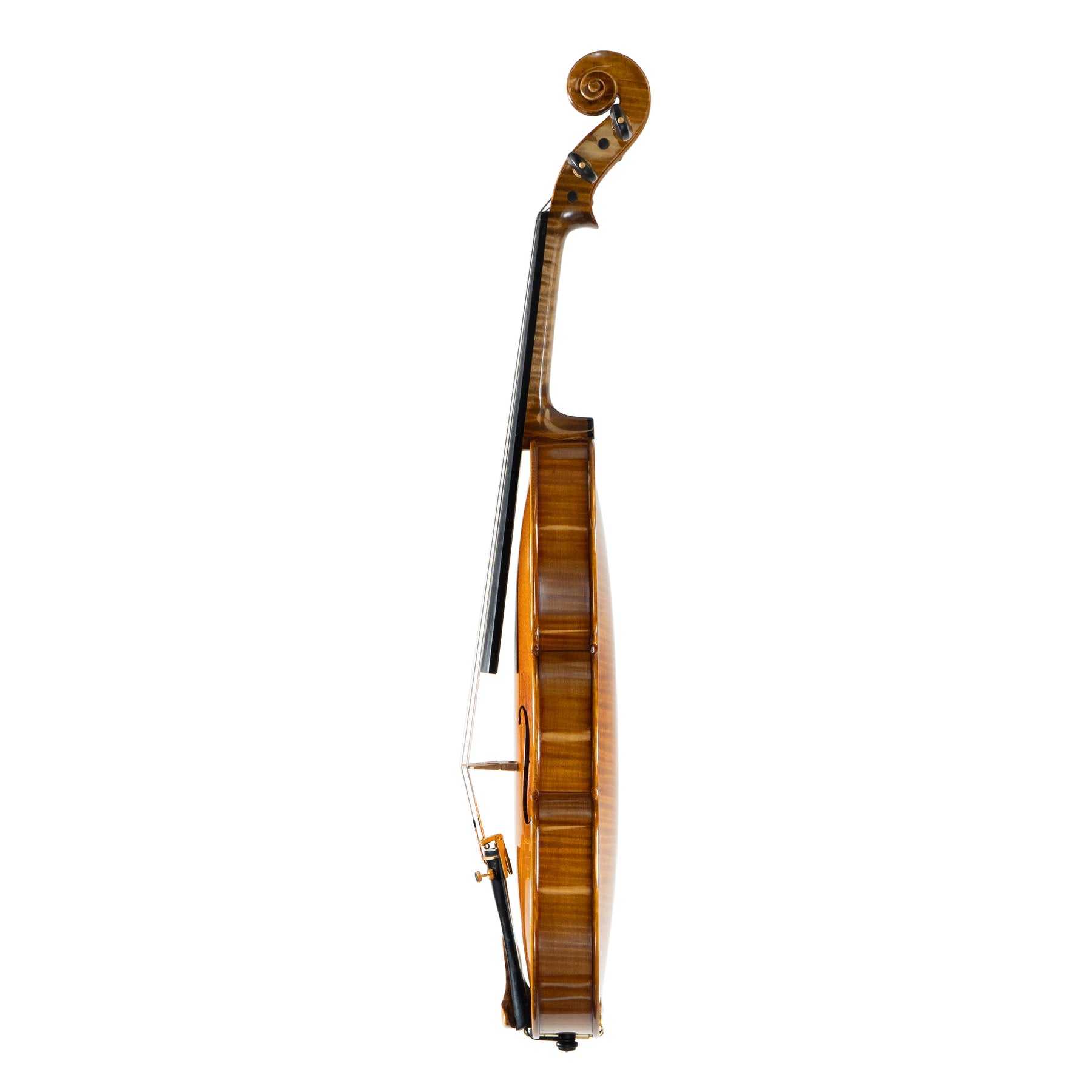 Ali Hosseini Violin, Hamedan, 2025
