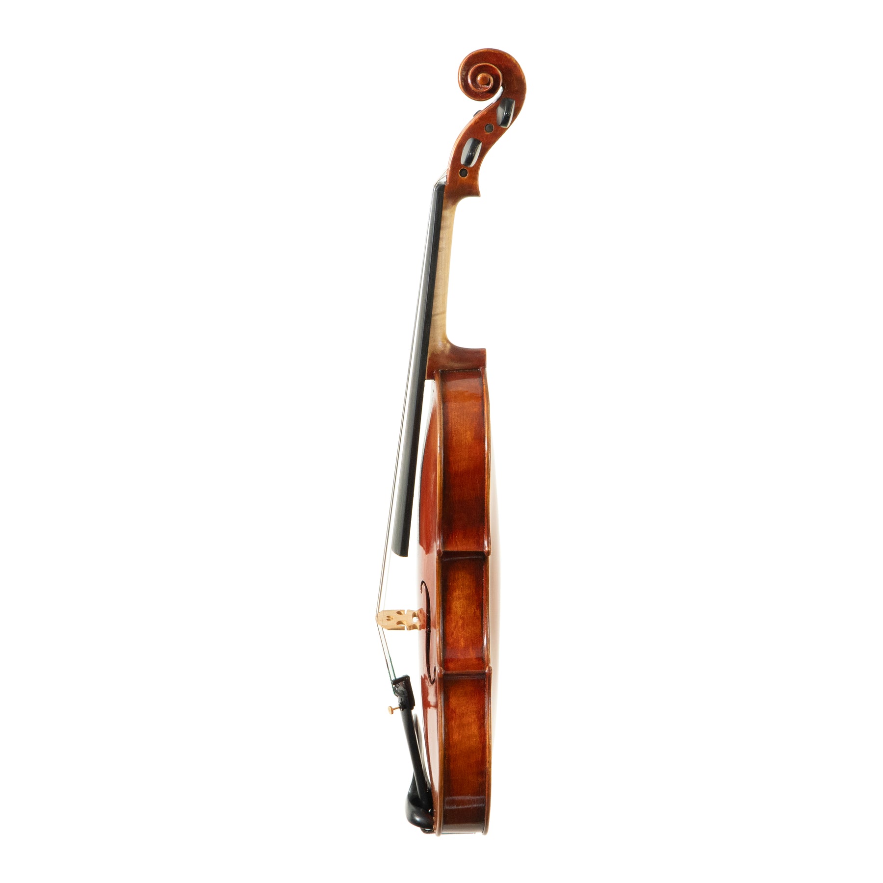 William Belote Workshop Violin, Ann Arbor, 2020