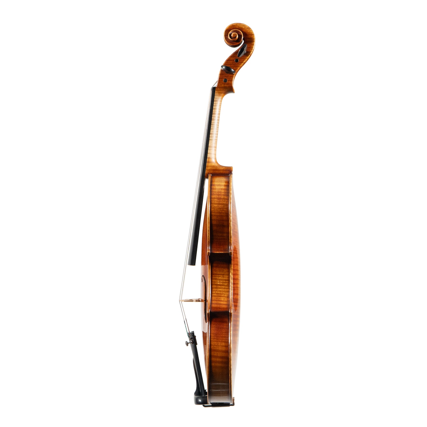 Lapo Vettori "G.B. Guadagnini - Torino 1779" Violin, Firenze, 2025