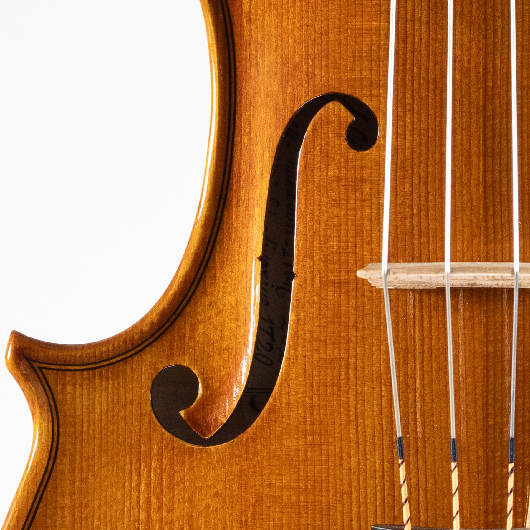 Ali Hosseini Violin, Hamedan, 2025