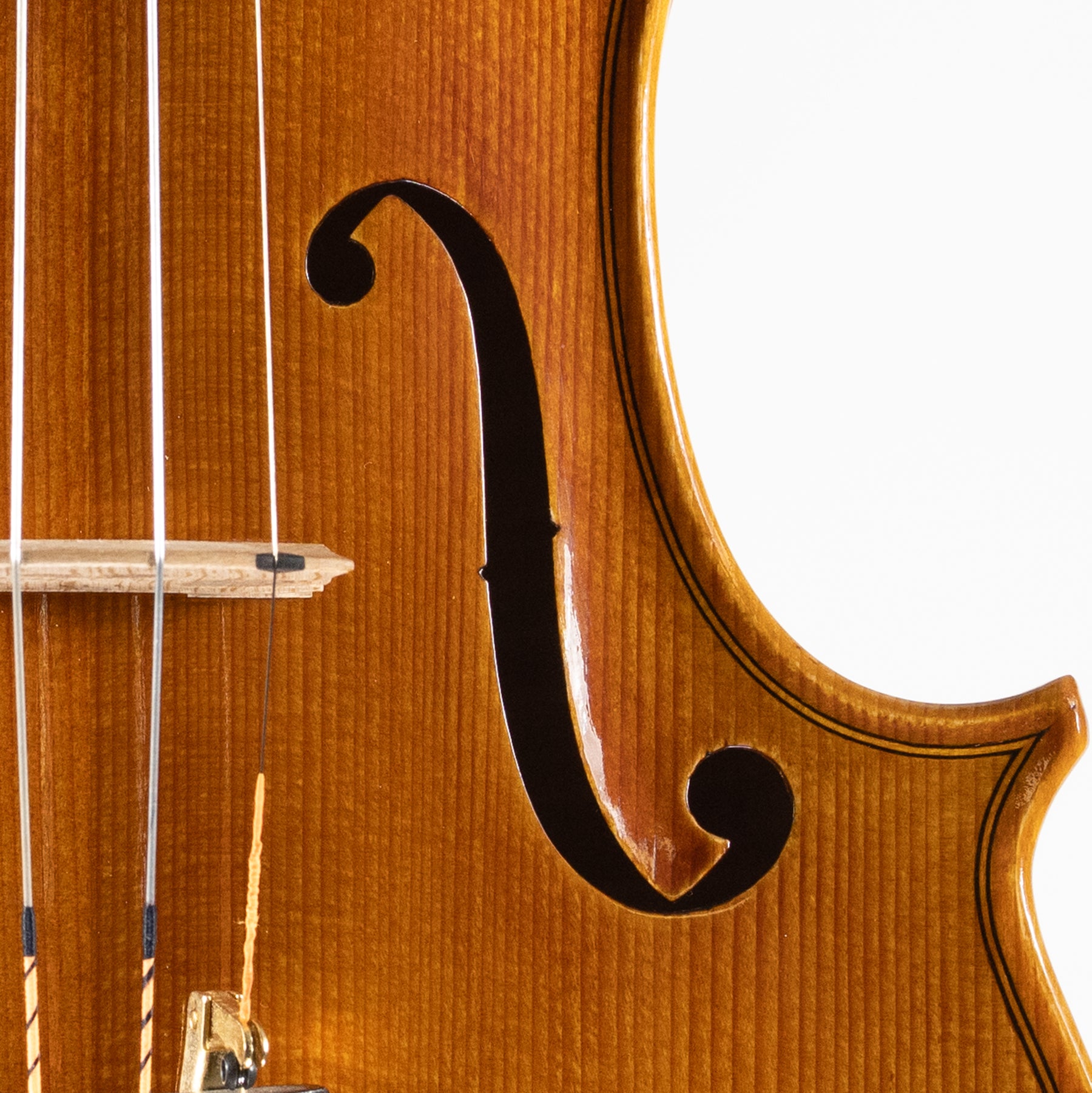 Ali Hosseini Violin, Hamedan, 2025